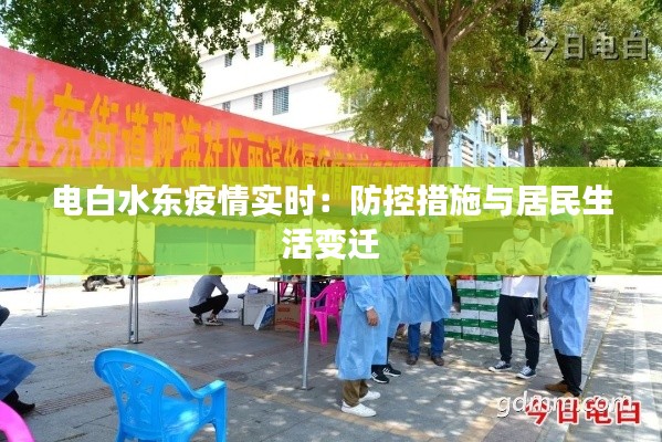 电白水东疫情实时：防控措施与居民生活变迁