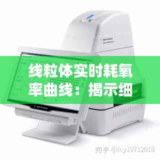 线粒体实时耗氧率曲线:揭示细胞能量代谢的动态奥秘