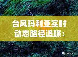 台风玛利亚实时动态路径追踪：风雨中的“移动风暴”
