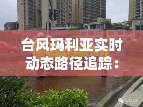 台风玛利亚实时动态路径追踪:风雨中的“移动风暴”