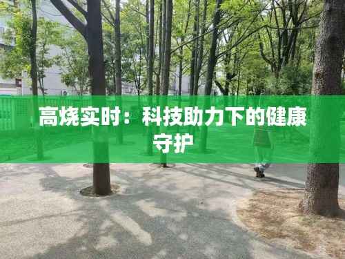高烧实时:科技助力下的健康守护