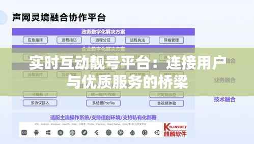 实时互动靓号平台:连接用户与优质服务的桥梁