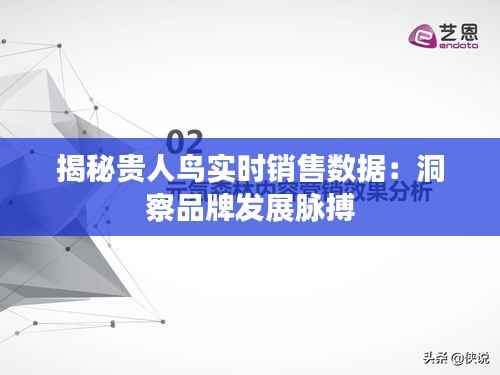 揭秘贵人鸟实时销售数据:洞察品牌发展脉搏
