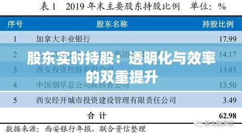 股东实时持股：透明化与效率的双重提升
