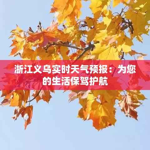 浙江义乌实时天气预报：为您的生活保驾护航