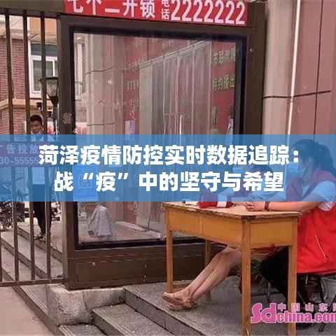 菏泽疫情防控实时数据追踪:战“疫”中的坚守与希望