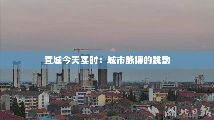 宜城今天实时:城市脉搏的跳动