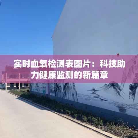 实时血氧检测表图片:科技助力健康监测的新篇章