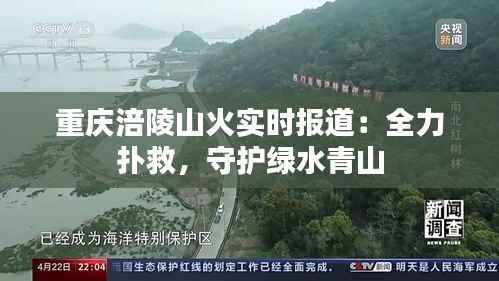 重庆涪陵山火实时报道:全力扑救,守护绿水青山