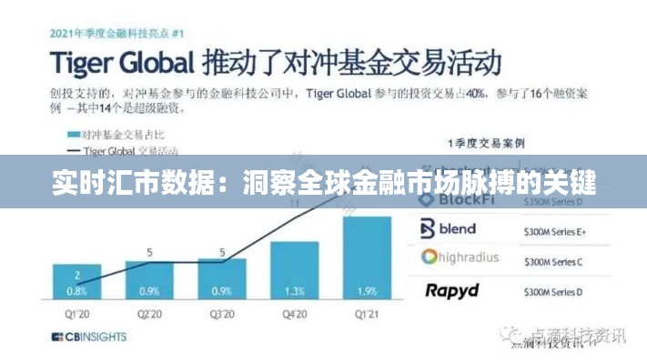 实时汇市数据:洞察全球金融市场脉搏的关键