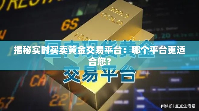 揭秘实时买卖黄金交易平台:哪个平台更适合您?