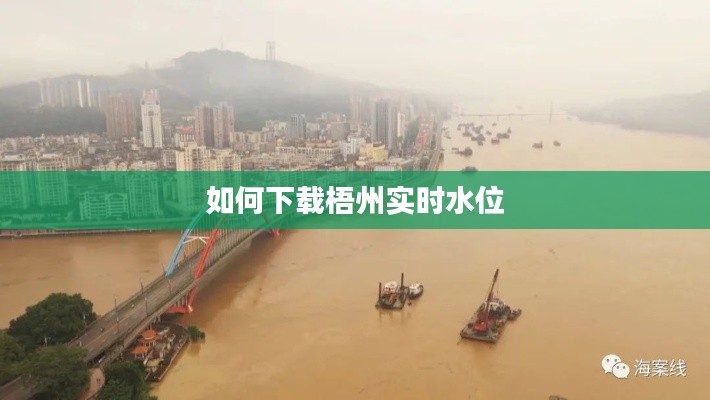 如何下载梧州实时水位