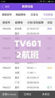 TV6012航班实时动态查询:您的飞行助手