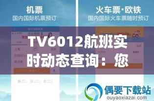 TV6012航班实时动态查询:您的飞行助手