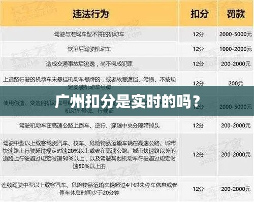 广州扣分是实时的吗?
