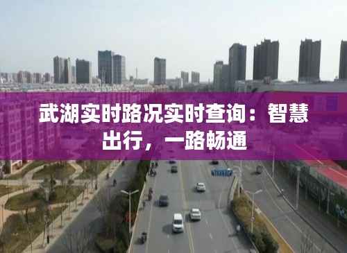 武湖实时路况实时查询：智慧出行，一路畅通