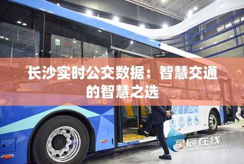长沙实时公交数据:智慧交通的智慧之选