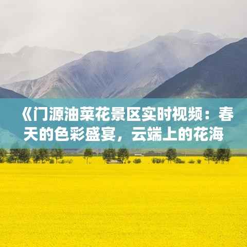 《门源油菜花景区实时视频:春天的色彩盛宴,云端上的花海奇观》