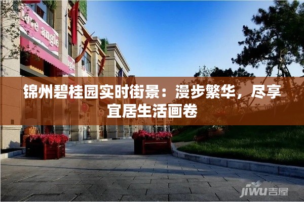 锦州碧桂园实时街景：漫步繁华，尽享宜居生活画卷