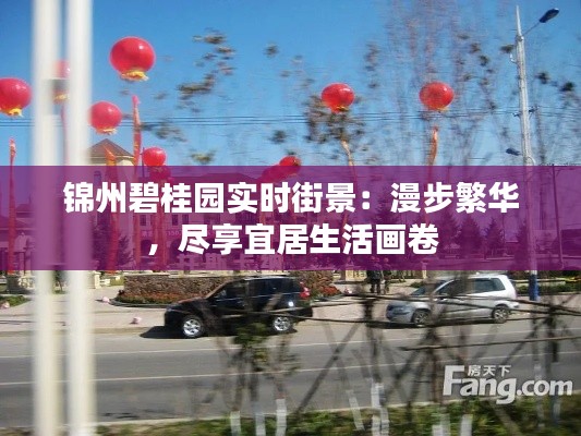 锦州碧桂园实时街景:漫步繁华,尽享宜居生活画卷