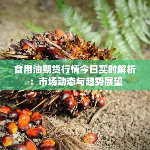 怀真抱素 第3页