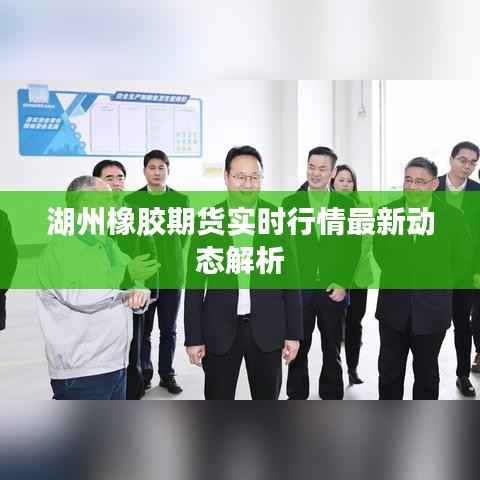 湖州橡胶期货实时行情最新动态解析