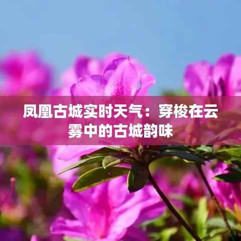 凤凰古城实时天气:穿梭在云雾中的古城韵味