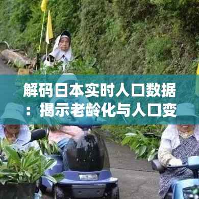 解码日本实时人口数据:揭示老龄化与人口变迁的密码
