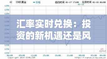 汇率实时兑换：投资的新机遇还是风险？