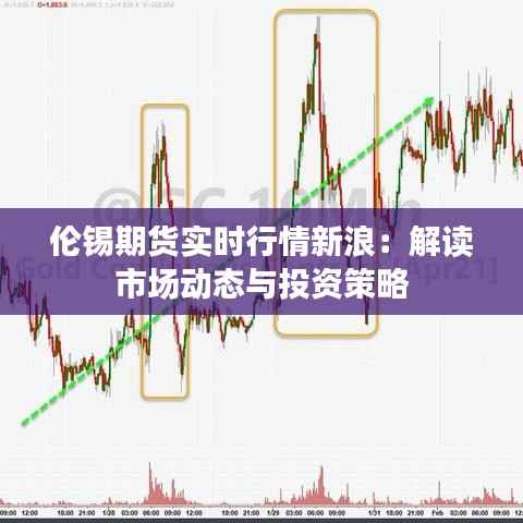 伦锡期货实时行情新浪:解读市场动态与投资策略