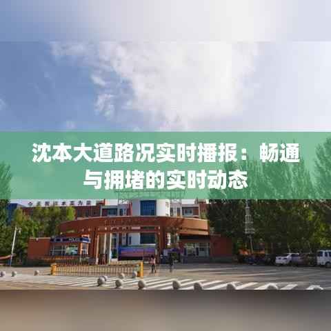 沈本大道路况实时播报：畅通与拥堵的实时动态