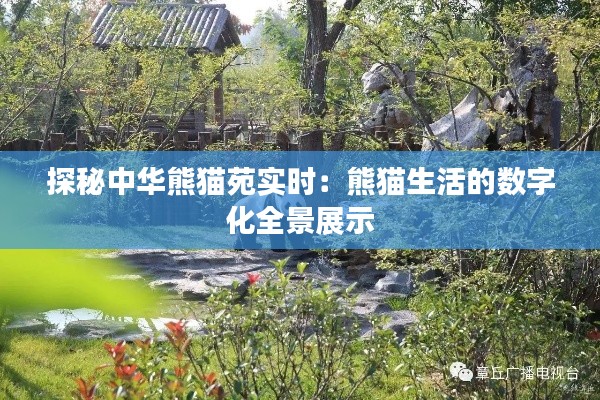 探秘中华熊猫苑实时：熊猫生活的数字化全景展示