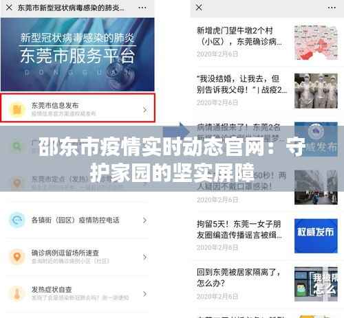 邵东市疫情实时动态官网:守护家园的坚实屏障