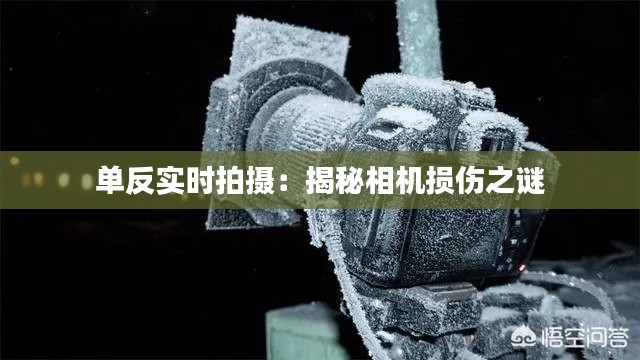 单反实时拍摄:揭秘相机损伤之谜