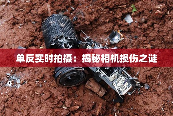 单反实时拍摄:揭秘相机损伤之谜