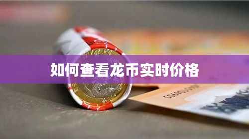 如何查看龙币实时价格