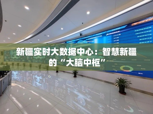 新疆实时大数据中心：智慧新疆的“大脑中枢”