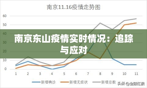 南京东山疫情实时情况:追踪与应对