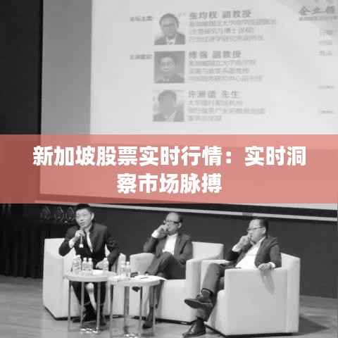 新加坡股票实时行情:实时洞察市场脉搏