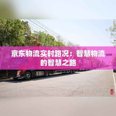 京东物流实时路况：智慧物流的智慧之路