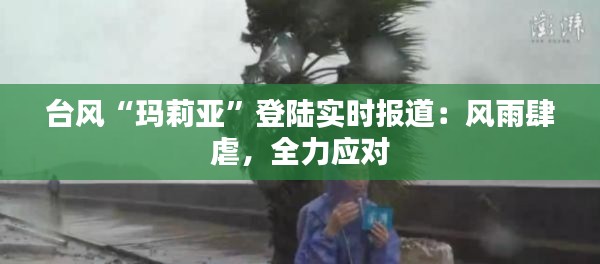 台风“玛莉亚”登陆实时报道:风雨肆虐,全力应对