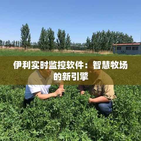 伊利实时监控软件：智慧牧场的新引擎