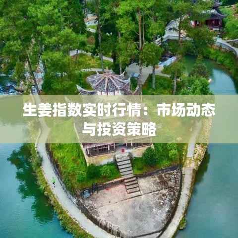 生姜指数实时行情:市场动态与投资策略