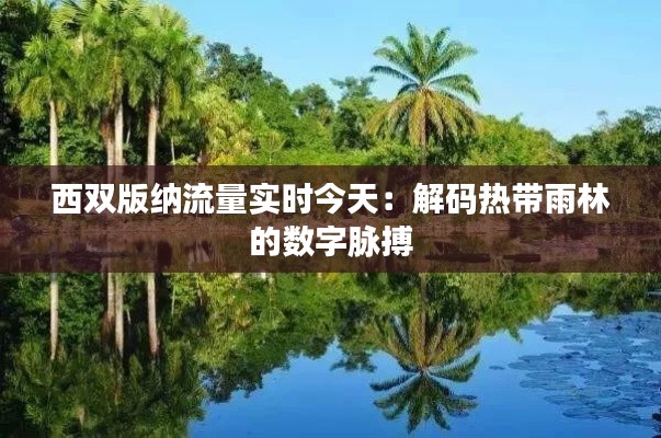 西双版纳流量实时今天:解码热带雨林的数字脉搏