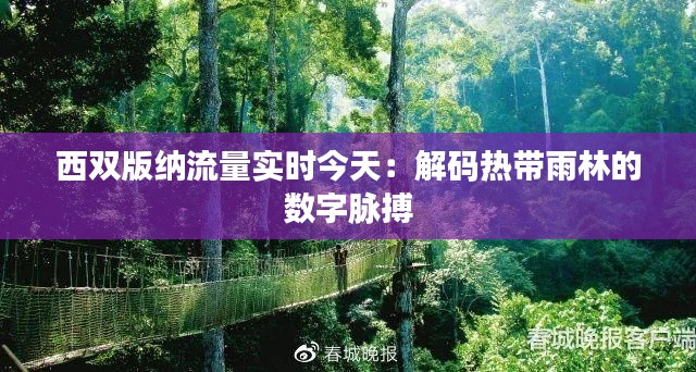 西双版纳流量实时今天:解码热带雨林的数字脉搏