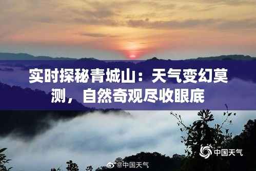 实时探秘青城山:天气变幻莫测,自然奇观尽收眼底