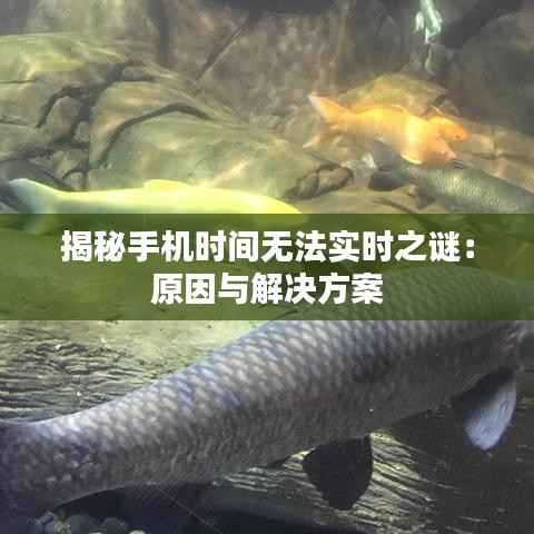 揭秘手机时间无法实时之谜：原因与解决方案