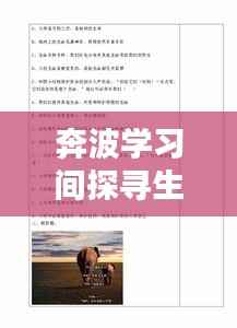 奔波学习间探寻生命意义,生活的价值与意义探索