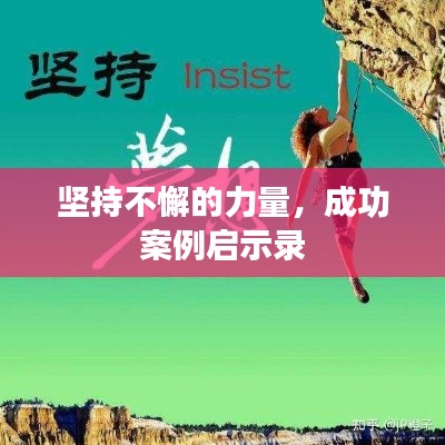 坚持不懈的力量,成功案例启示录