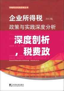 深度剖析，税费政策落实不力的问题与解决之道